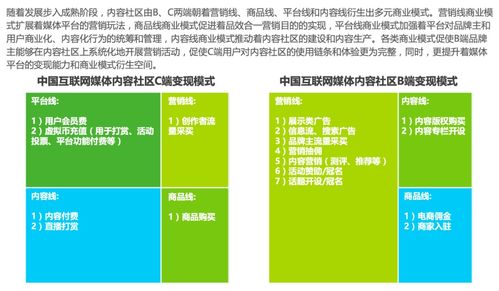 中国互联网媒体内容社区模式发展研究报告